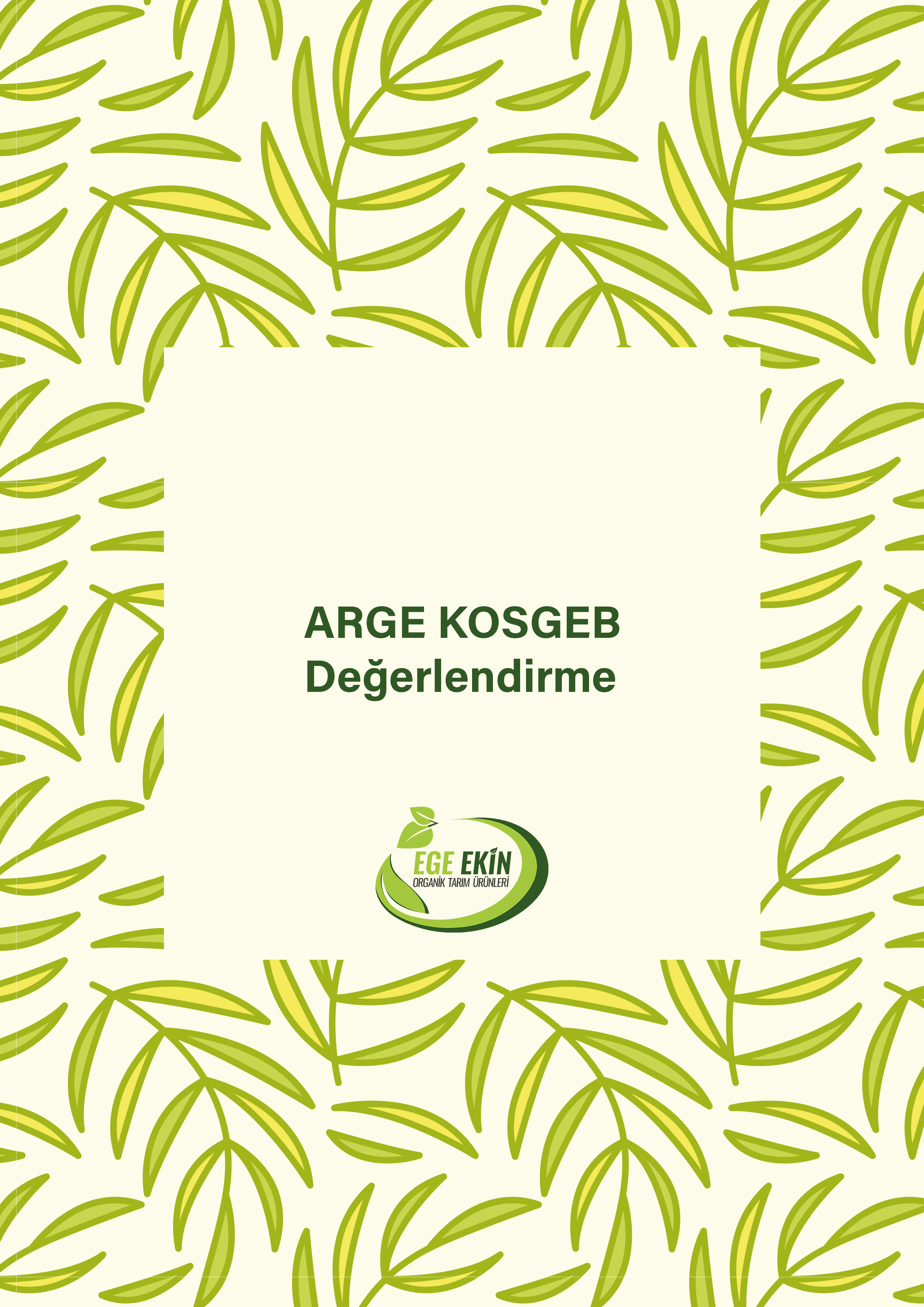 Arge KOSGEB Değerlendirme